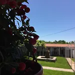 Motel Kiwi Grude