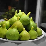 Kiwi Motell